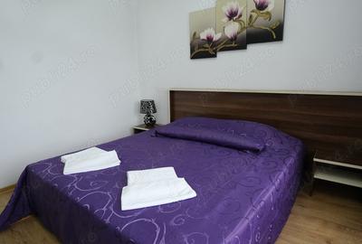 Camera single 130 Lei zi, Camera double 180 Lei zi, Pia?a Victoriei - Catedrala Timi?oara - 6