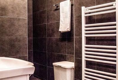 Apartament cu 2 camere, mobilat în Central - 15