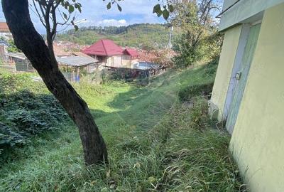 Casă cu 3 camere cu Teren 602 Mp în Vest