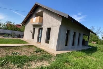 Casă individuală cu 2 camere cu Canalizare în Berceni - 3