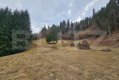 Teren în Scărișoara - 2