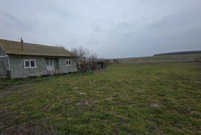 Casă cu 4 camere în Ciobănița - 2