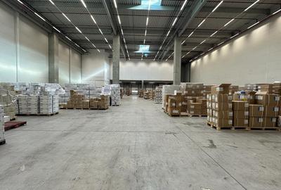 Spatiu depozitare Dragomiresti - Deal A1 , Km. 13,5 - 2