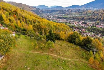 Film! Teren in peisaj mirific, Parcul Natural Piatra Craiului, Moieciu, Magura, - 11