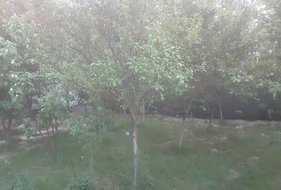 Casă cu 7 camere cu Teren 284 Mp în Nicolae Grigorescu - 3