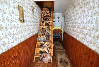 Casă cu Teren 3043 Mp în Provița de Sus - 4