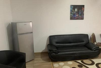 Apartament cu 2 camere semidecomandat, mobilat în Bariera Vâlcii - 2