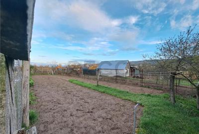 RECO Apartament cu curte, garaj si gradina Astileu - 5