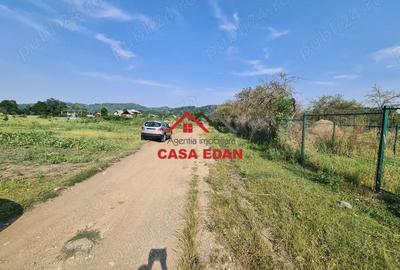 Teren intravilan in Campina, 7500mp--35e - 4