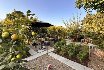 VILA UNICAT ULTRALUX P+1 +CASA CU TEREN 1412MP ZONA PALAZU MARE - 11