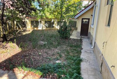 Vila Sisesti Eugen Brote New 2025 - 28