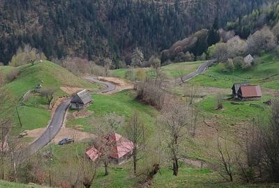 Spațiu comercial, în Cerc - 5