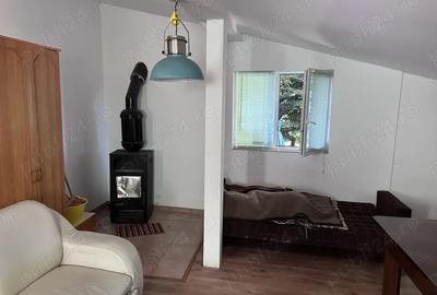 Persona fizica vand cabana cu teren la Beli? - 5