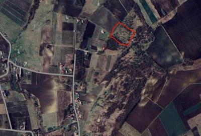 Teren de 4000 mp, în Suatu - 1