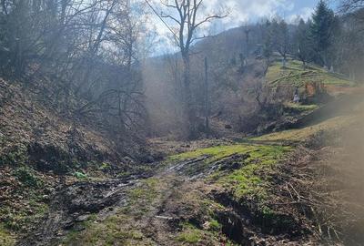 Teren arabil intravilan , priveliste mirifica , zona Schei - 7