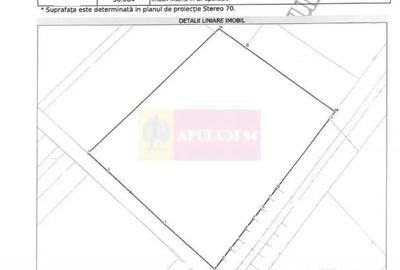 Teren de 131935 mp, în Est - 5