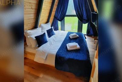 Casă cu Teren 3450 Mp în Colibița - 3