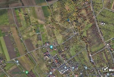 Teren Dambu Rotund 4750 mp, intravilan, UTR TDA_L, posibilitate investitie - 1