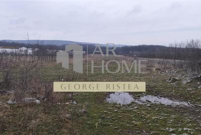 Teren Construcții intravilan de 7500 mp, în Sud - 2