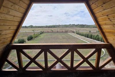 Casă cu 3 camere cu Teren 2500 Mp în Găiseanca - 1