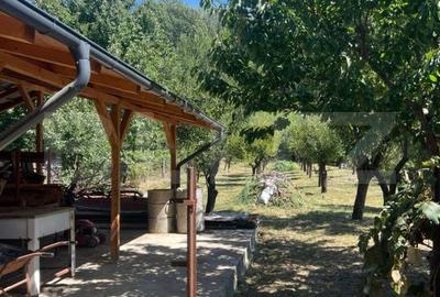 Casă cu 4 camere cu Teren 1650 Mp în Central - 13