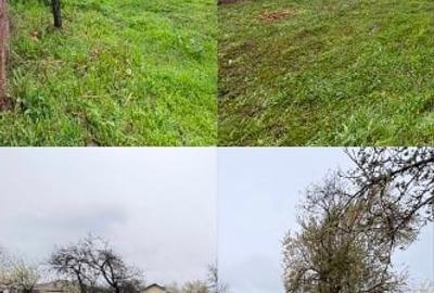 Casă individuală cu 3 camere cu Teren 2319 Mp în Sacoșu Mare - 10