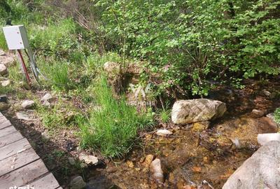 Spațiu comercial, în Gura Râului