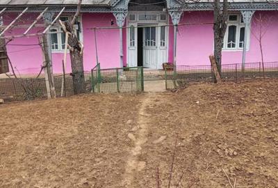 Casa de vinzare - 10