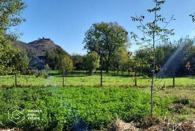 Casa cu 3 corpuri de cladire, localitatea Lipova - 6