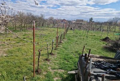Casă cu 2 camere cu Teren 1374 Mp în Iosia - 6