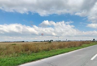 Teren Intravilan - 6