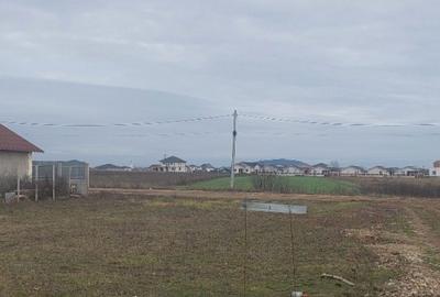 Spațiu comercial, în Cihei - 6