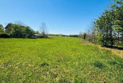 Teren de 3800 mp, în Oșorhei