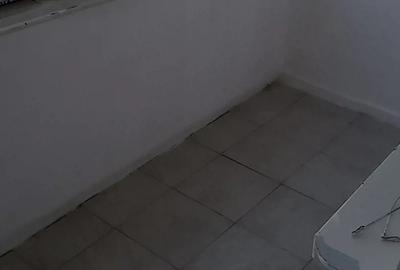 Ap.3 camere Emil Racovi?a-Aliorului - 3