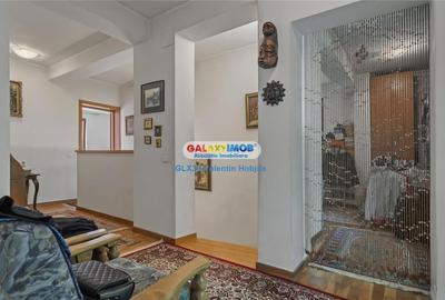 Vanzare vila Lacul TEI  PETRICANI INSULA  LAC 1900 MP TEREN - 17