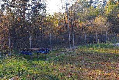 Teren rezidential Bunloc zona de case - 3