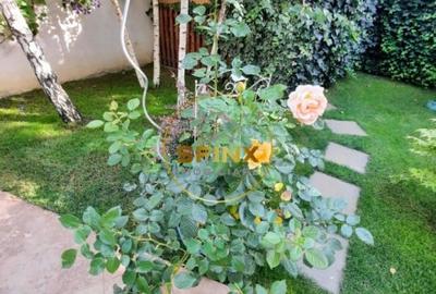 Casă individuală cu 5 camere cu Canalizare în Giulești - 35