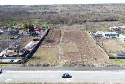 Teren Construcții intravilan de 5313 mp, în Odaia Manolache - 6