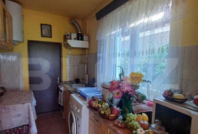 Casa renovabila, 2 camere, zona Cetate - 9