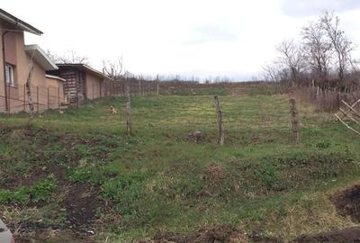 Teren de 900 mp, în Lipovăț - 5