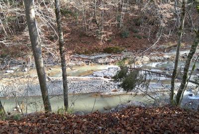 Teren intravilan de 693 mp, în Tarcău - 1