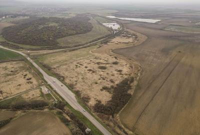 Teren extravilan in Ineu - 10