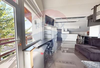 Garsonieră decomandată, mobilată în Turnișor - 4