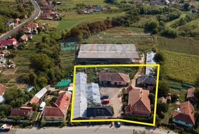 Casa cu teren si anexe, curte generoasa, potential urias - 5