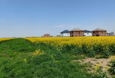 Teren 469 mp Vidra - utilitati la lot, plata in rate - 9