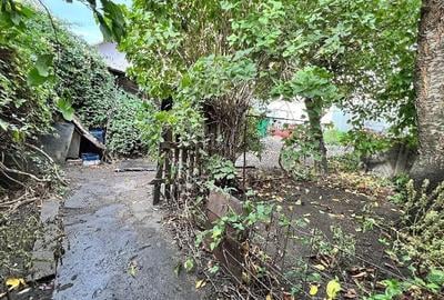 Casă cu 3 camere cu Teren 250 Mp în Petros - 2