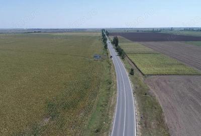 TEREN INTRAVILAN FUNDULEA 63.000 MP , jUD. CALARASI DE VANZARE - 4