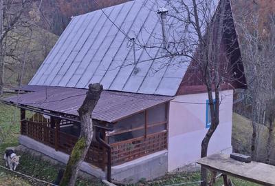Casă cu 2 camere în Ponor