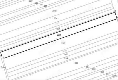 Teren Nucet 8018m Deschidere 21m la DN71 Targoviste - 3