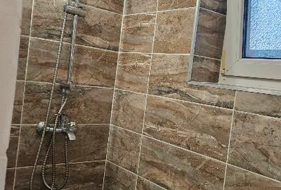 Inchiriere studio mobilat și utilat Greenfield - 9